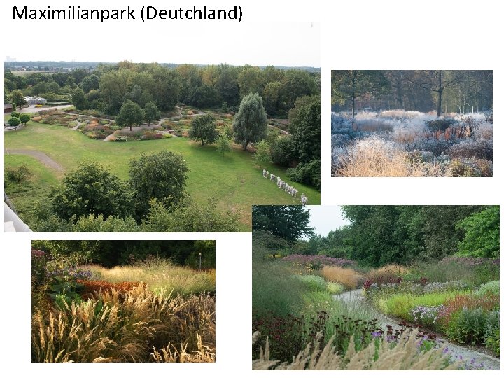 Maximilianpark (Deutchland) 
