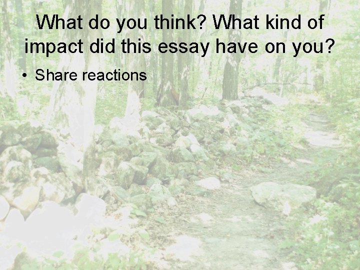 What do you think? What kind of impact did this essay have on you?