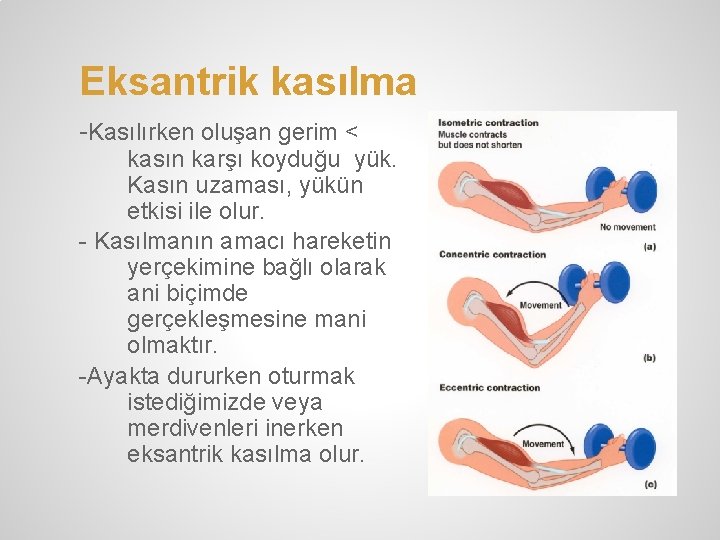 Eksantrik kasılma -Kasılırken oluşan gerim < kasın karşı koyduğu yük. Kasın uzaması, yükün etkisi Eksantrik kasılma -Kasılırken oluşan gerim < kasın karşı koyduğu yük. Kasın uzaması, yükün etkisi