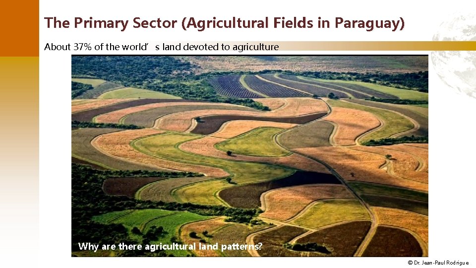 The Primary Sector (Agricultural Fields in Paraguay) About 37% of the world’s land devoted