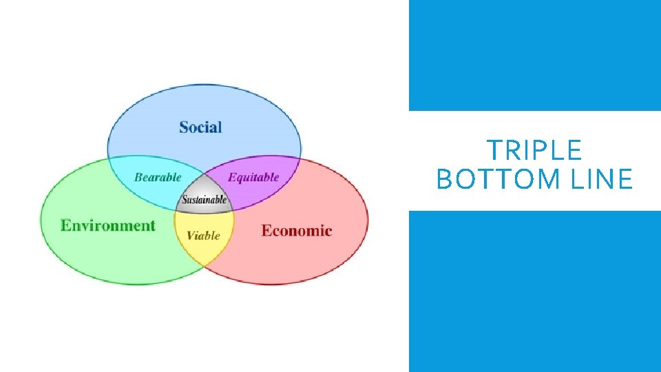TRIPLE BOTTOM LINE TRIPLE BOTTOM LINE