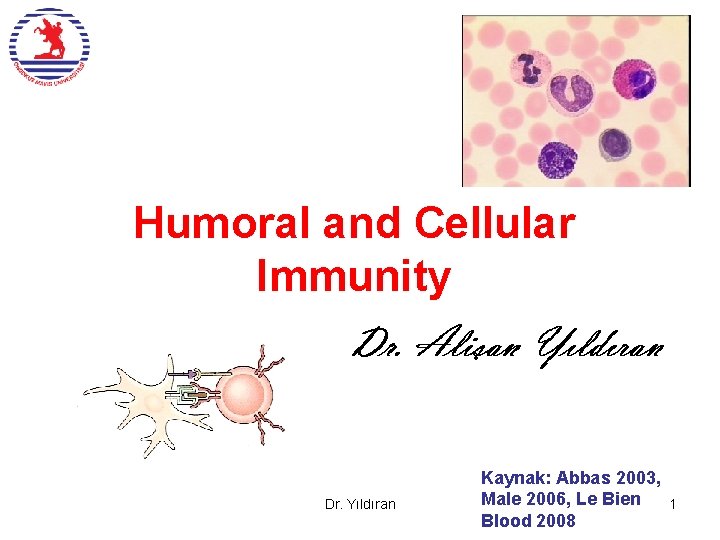 Humoral and Cellular Immunity Dr. Yıldıran Kaynak: Abbas 2003, Male 2006, Le Bien Blood