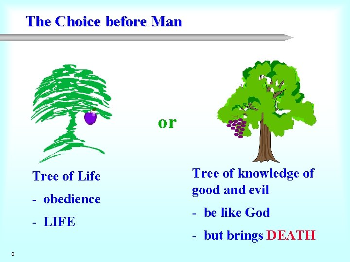 The Choice before Man or Tree of Life - obedience - LIFE 8 Tree