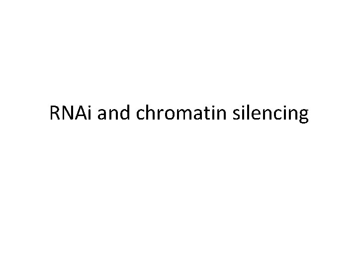 RNAi and chromatin silencing 