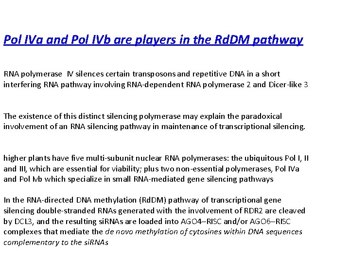 Pol IVa and Pol IVb are players in the Rd. DM pathway RNA polymerase