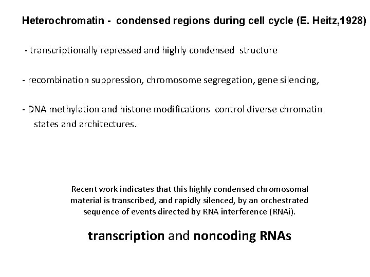 Heterochromatin - condensed regions during cell cycle (E. Heitz, 1928) - transcriptionally repressed and