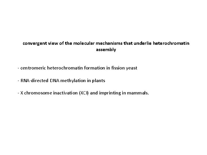 convergent view of the molecular mechanisms that underlie heterochromatin assembly - centromeric heterochromatin formation