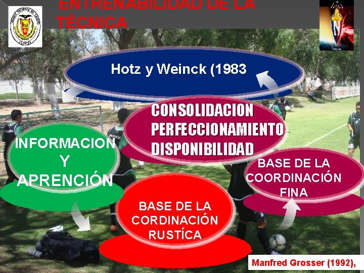 ENTRENABILIDAD DE LA TÉCNICA Hotz y Weinck (1983 INFORMACION Y APRENCIÓN CONSOLIDACION PERFECCIONAMIENTO DISPONIBILIDAD