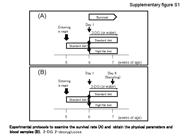Supplementary figure S 1 (A) Survival Entering a cage Day 1 2 -DG (or