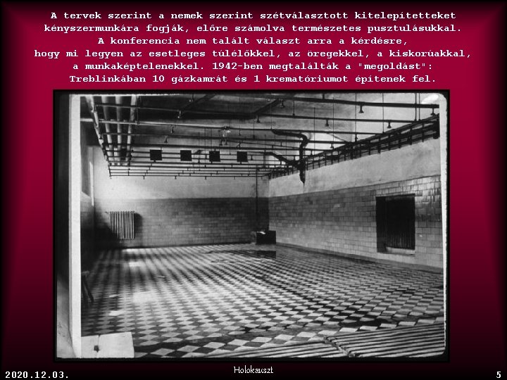 A tervek szerint a nemek szerint szétválasztott kitelepítetteket kényszermunkára fogják, előre számolva természetes pusztulásukkal.