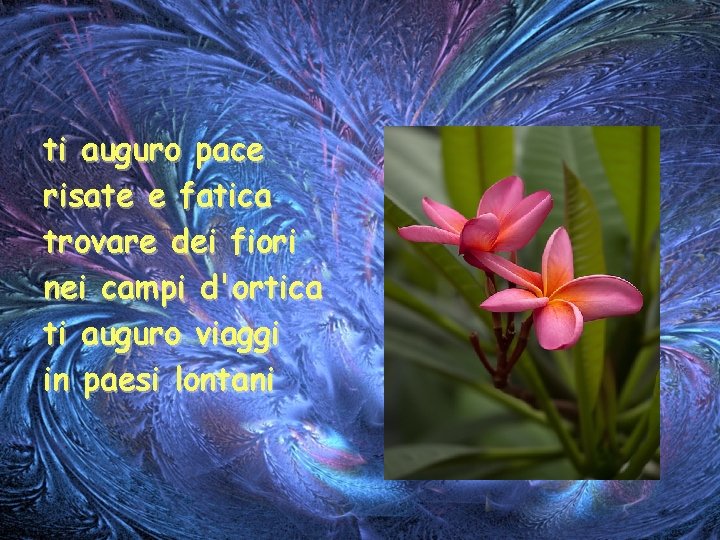 ti auguro pace risate e fatica trovare dei fiori nei campi d'ortica ti auguro