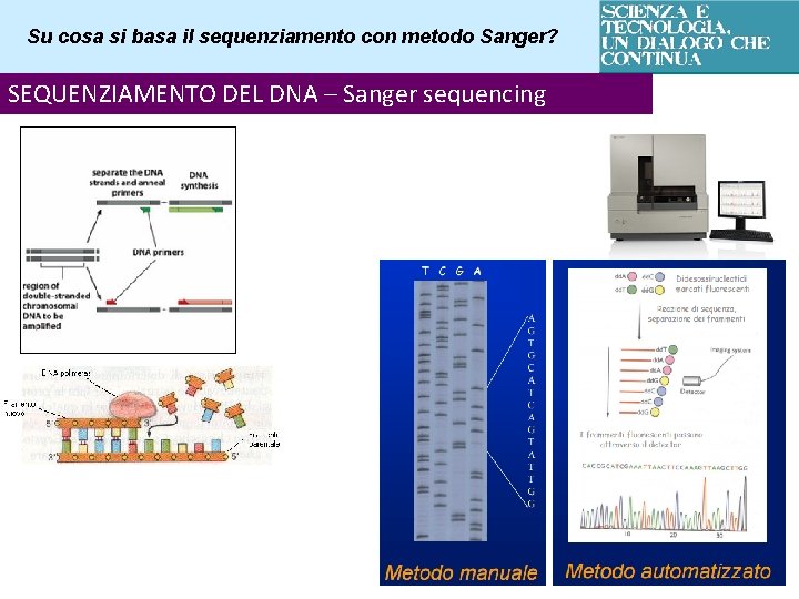 Su cosa si basa il sequenziamento con metodo Sanger? SEQUENZIAMENTO DEL DNA – Sanger