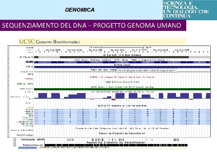 GENOMICA SEQUENZIAMENTO DEL DNA – PROGETTO GENOMA UMANO 