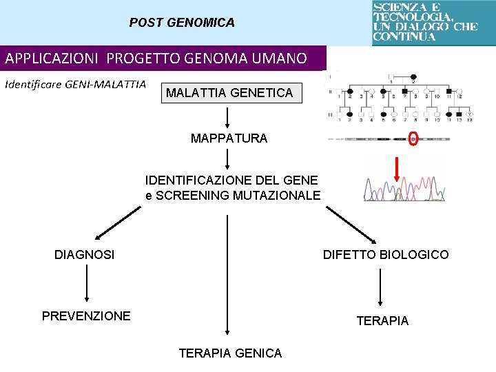 POST GENOMICA APPLICAZIONI PROGETTO GENOMA UMANO Identificare GENI-MALATTIA GENETICA MAPPATURA IDENTIFICAZIONE DEL GENE e
