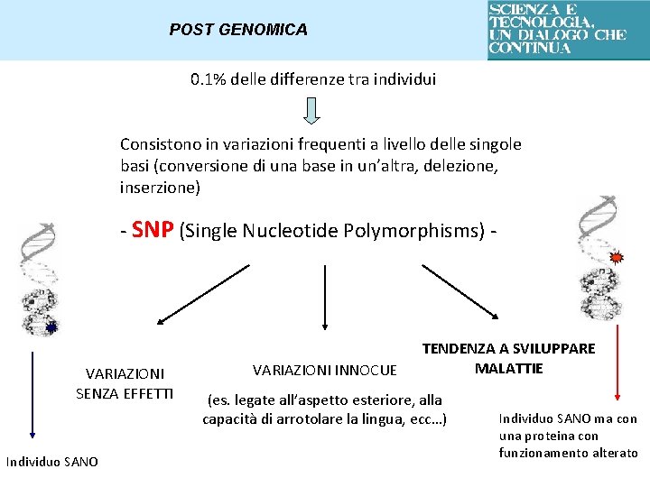 POST GENOMICA 0. 1% delle differenze tra individui Consistono in variazioni frequenti a livello