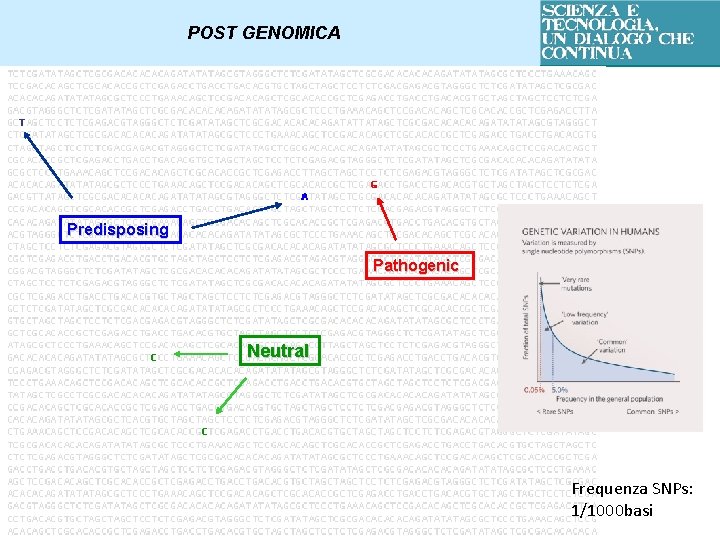 POST GENOMICA Predisposing Pathogenic Neutral Frequenza SNPs: 1/1000 basi 