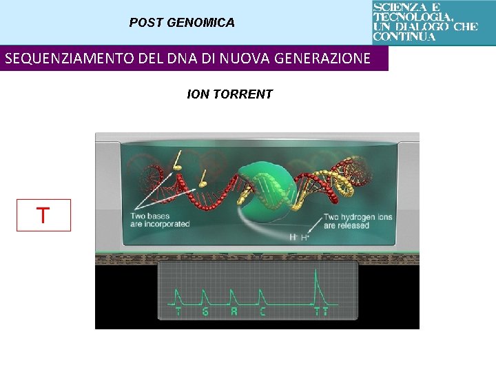 POST GENOMICA SEQUENZIAMENTO DEL DNA DI NUOVA GENERAZIONE ION TORRENT T 