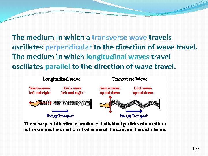 The medium in which a transverse wave travels oscillates perpendicular to the direction of