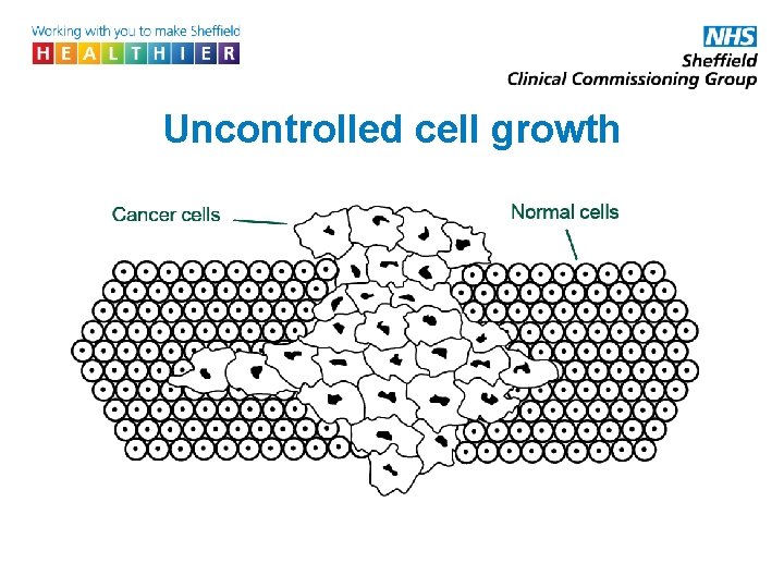 Uncontrolled cell growth 