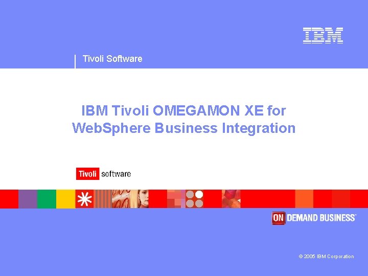 Tivoli Software IBM Tivoli OMEGAMON XE for Web. Sphere Business Integration © 2005 IBM