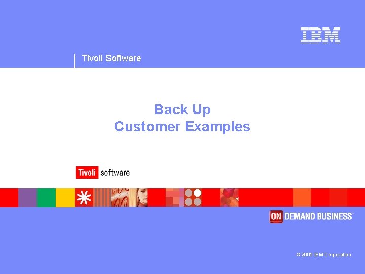 Tivoli Software Back Up Customer Examples © 2005 IBM Corporation 