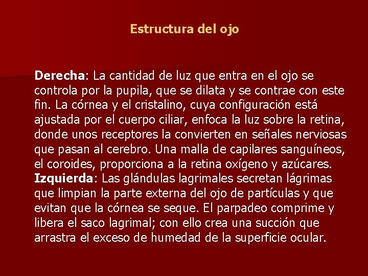 Estructura del ojo Derecha: La cantidad de luz que entra en el ojo se