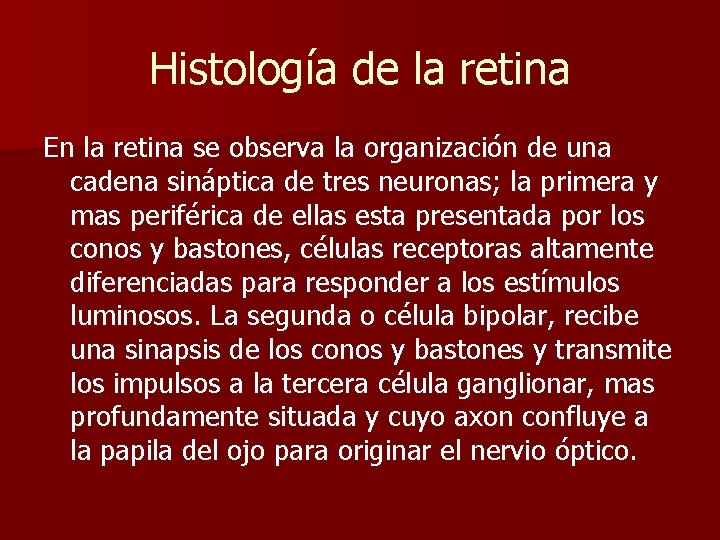 Histología de la retina En la retina se observa la organización de una cadena