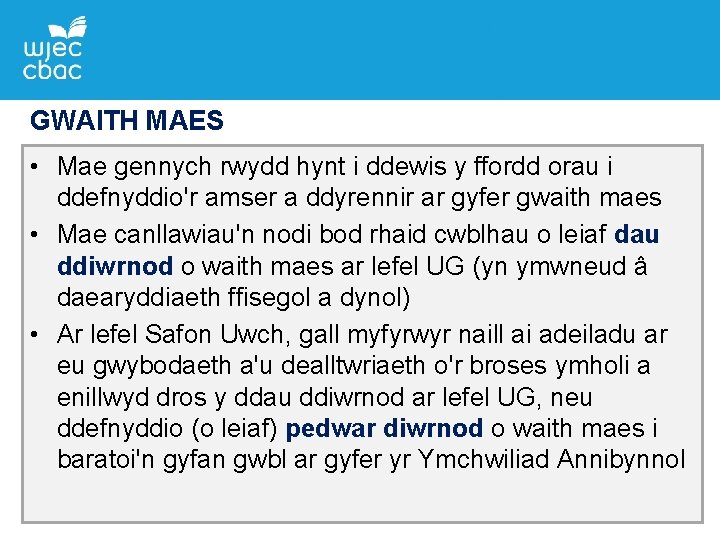 GWAITH MAES • Mae gennych rwydd hynt i ddewis y ffordd orau i ddefnyddio'r