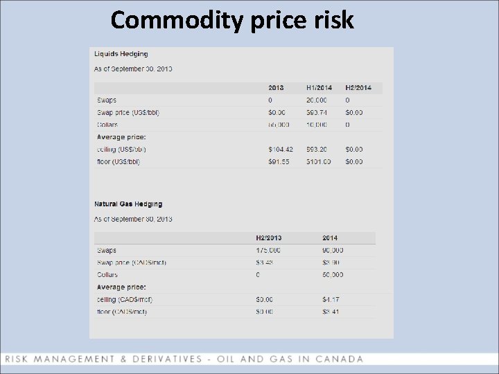 Commodity price risk 