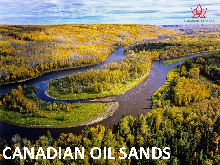 CANADIAN OIL SANDS 