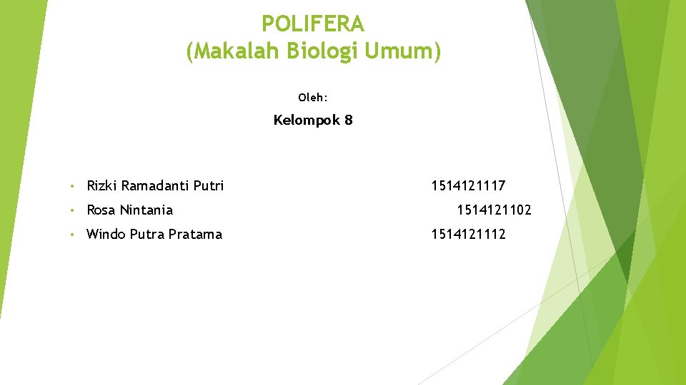 POLIFERA (Makalah Biologi Umum) Oleh: Kelompok 8 • Rizki Ramadanti Putri • Rosa Nintania