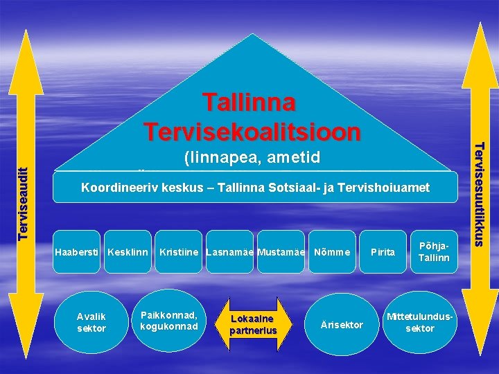 Terviseaudit (linnapea, ametid Tallinna ülikoolid, Tallinna Tervisekaitsetalitus) Koordineeriv keskus – Tallinna Sotsiaal- ja Tervishoiuamet
