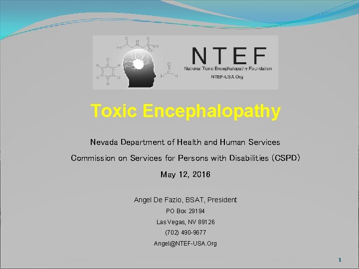 Toxic Encephalopathy Nevada Department of Health and Human Services Commission on Services for Persons