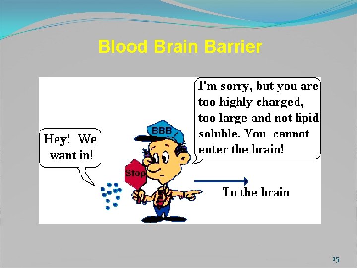 Blood Brain Barrier 15 