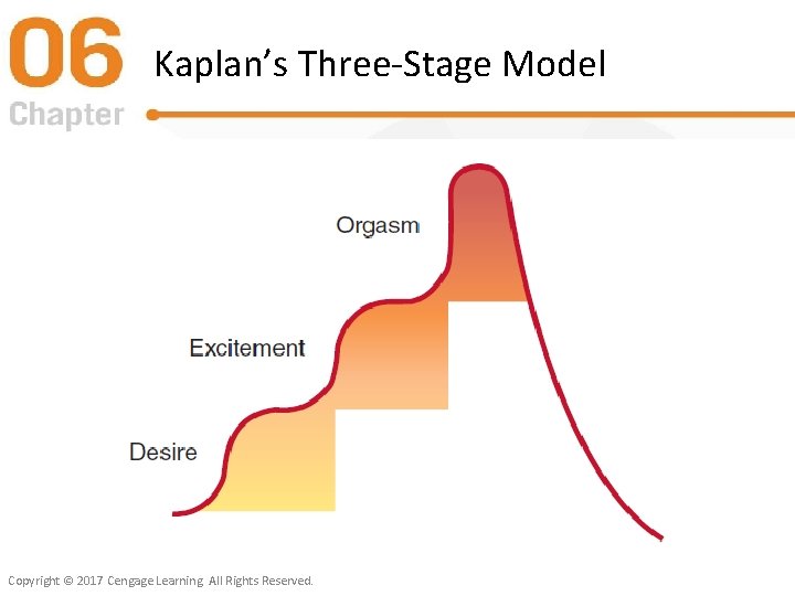 Kaplan’s Three-Stage Model Copyright © 2017 Cengage Learning. All Rights Reserved. 