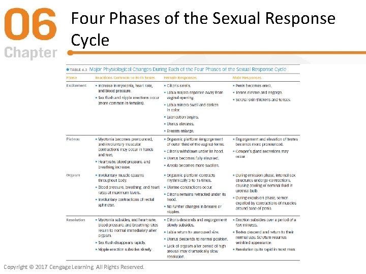 Four Phases of the Sexual Response Cycle Copyright © 2017 Cengage Learning. All Rights