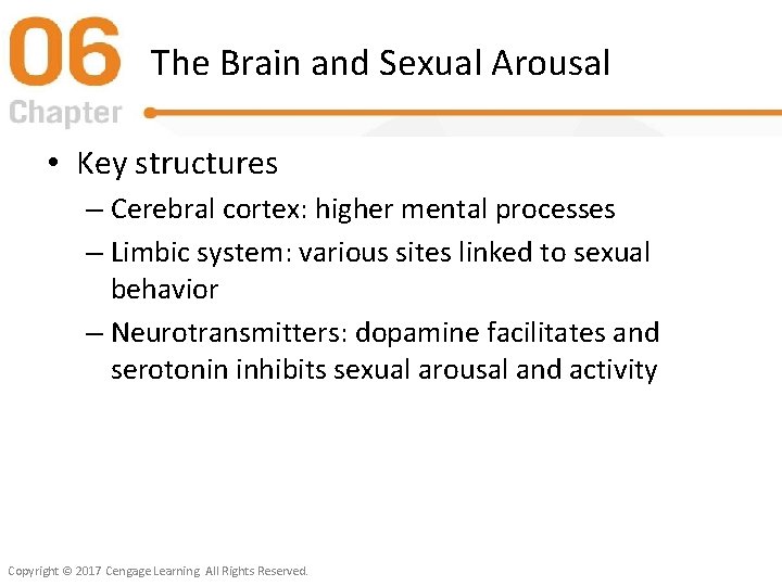 The Brain and Sexual Arousal • Key structures – Cerebral cortex: higher mental processes
