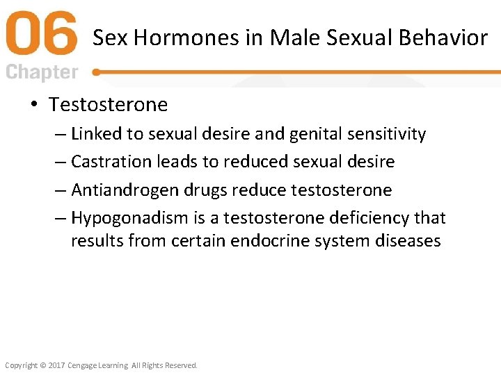Sex Hormones in Male Sexual Behavior • Testosterone – Linked to sexual desire and