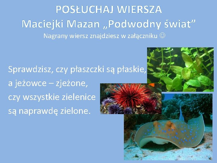 POSŁUCHAJ WIERSZA Maciejki Mazan „Podwodny świat” Nagrany wiersz znajdziesz w załączniku Sprawdzisz, czy płaszczki