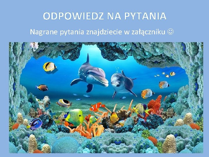 ODPOWIEDZ NA PYTANIA Nagrane pytania znajdziecie w załączniku 