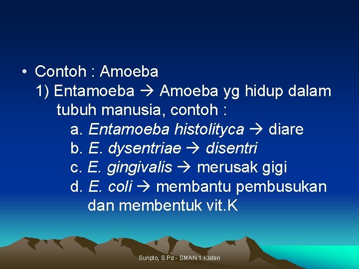  • Contoh : Amoeba 1) Entamoeba Amoeba yg hidup dalam tubuh manusia, contoh