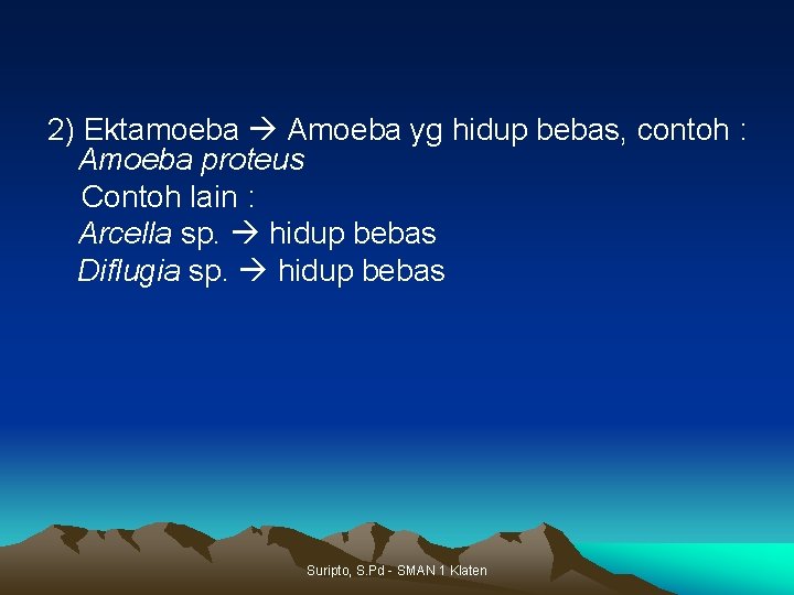 2) Ektamoeba Amoeba yg hidup bebas, contoh : Amoeba proteus Contoh lain : Arcella