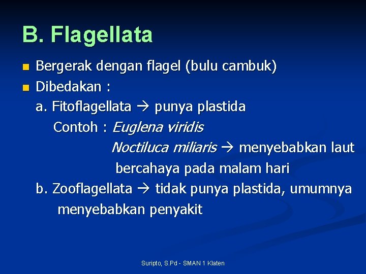 B. Flagellata n n Bergerak dengan flagel (bulu cambuk) Dibedakan : a. Fitoflagellata punya
