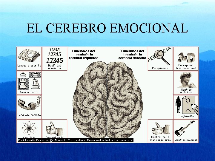 EL CEREBRO EMOCIONAL 