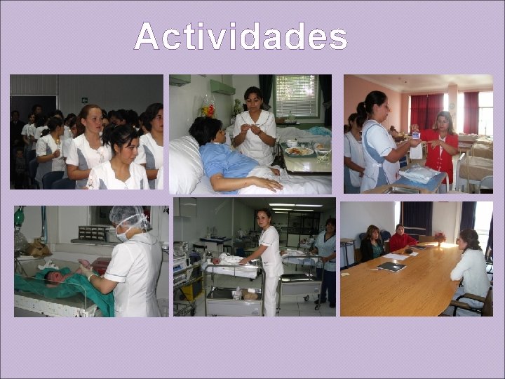 Actividades 