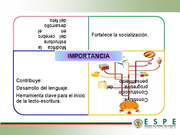 Modifica la estructura del cerebro en el desarrollo del feto. Fortalece la socialización. IMPORTANCIA