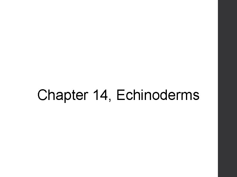 Chapter 14, Echinoderms 