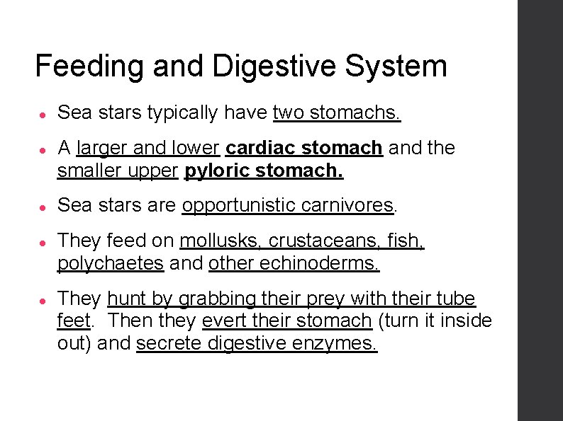 Feeding and Digestive System Sea stars typically have two stomachs. A larger and lower