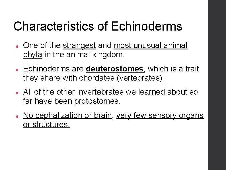 Characteristics of Echinoderms One of the strangest and most unusual animal phyla in the