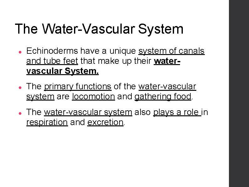 The Water-Vascular System Echinoderms have a unique system of canals and tube feet that